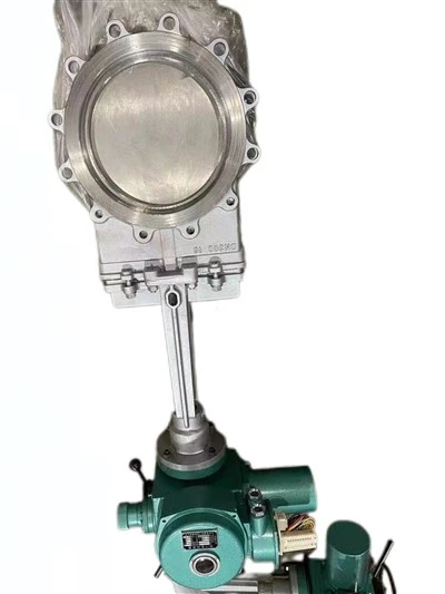 Rooj vag Valve